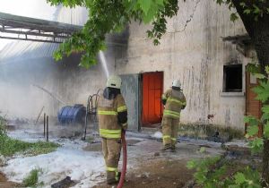 İzmir de tavuk çiftliğinde korkutan yangın
