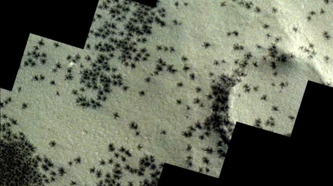 Ortaya çıktılar: Mars ın  örümcekleri  görüntülendi