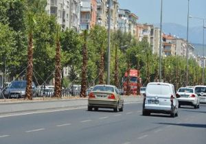 Büyükşehir den Ankara Caddesi ne 250 palmiye