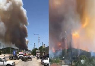 İzmir'deki orman yangınından kareler