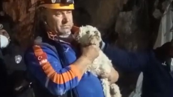 25 inci günde kurtarıldı... Mucize köpek!