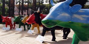 İzmir’’de ’‘Cow Parade’’ zamanı’… 