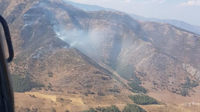 50 hektar orman yangını çay ateşinden çıkmış