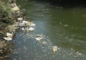 Doğa katliamı: Binlerce ton çöp denize döküldü! 