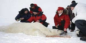 Putin’’in Kutup çıkarması