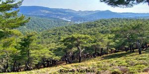 Bergama’’da altın ocağı protestosu 