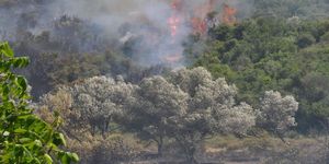 Seferihisar'da korkutan yangın!