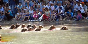 Koyun Olimpiyatları