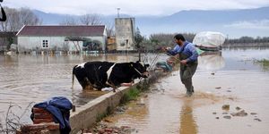 Ödemiş sular altında!