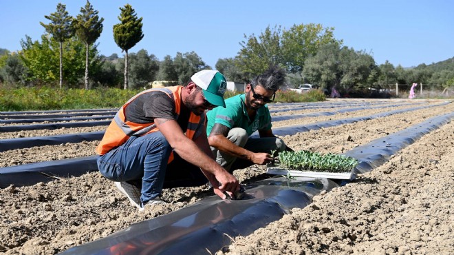 Adabahçe sofralara lezzet ve bereket katacak