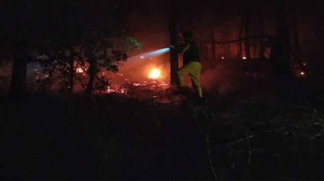 Adana da orman yangını: Rüzgarın etkisiyle büyüyor!
