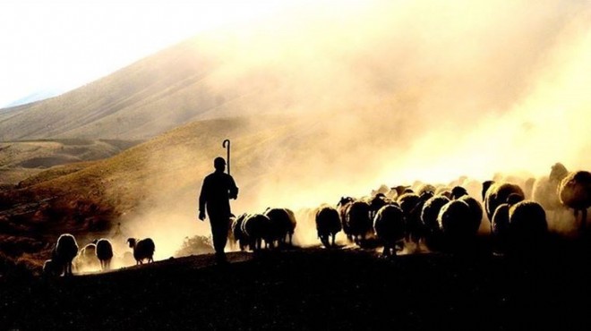 Afgan çoban,  kaza kurşunu yla hayatını kaybetti!