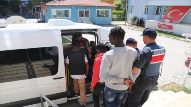 Afyon da çiftlikte izinsiz çalışan yabancı uyruklular yakalandı