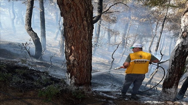 Afyonkarahisar daki orman yangını söndürüldü