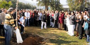 Sağlık çalışanlarından çınar ağaçlı protesto