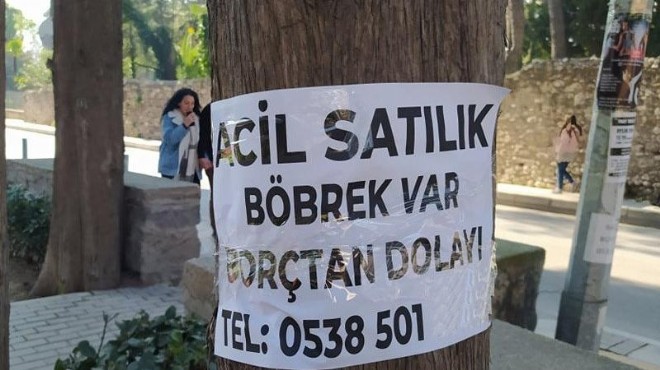 Ağaca asılan ‘satılık’ ilanı görenleri şoke etti