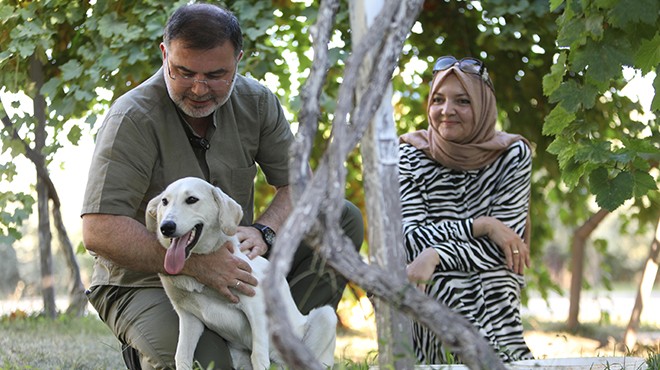 AK Partili Saygılı, iki sokak köpeğini sahiplendi