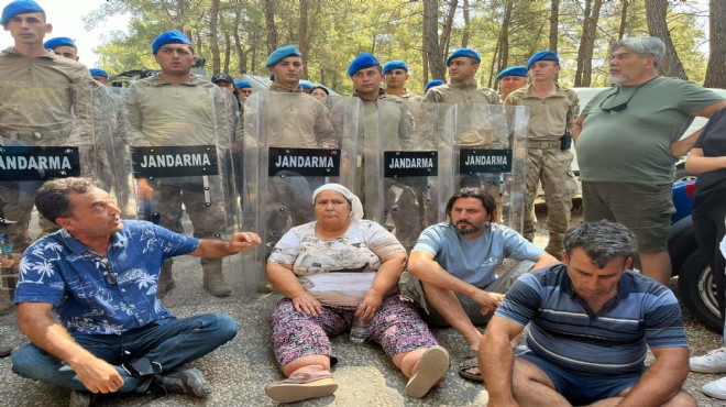 Akbelen de  ağaç kesimi  gerginliği: 2 gözaltı