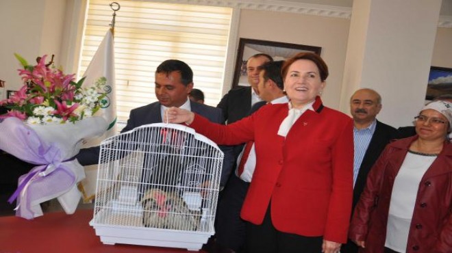 Akşener sahada tam gaz: Nasıl kaçarlarsa kaçsınlar…