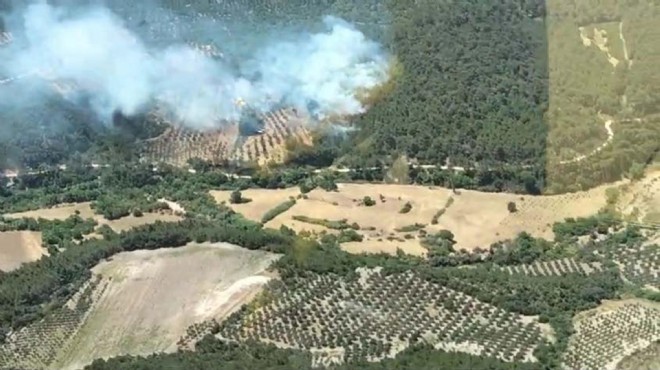 Alevler kontrol altında... Bergama da 20 saatlik mücadele!