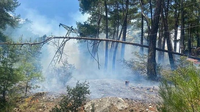 Antalya da çıkan orman yangını söndürüldü