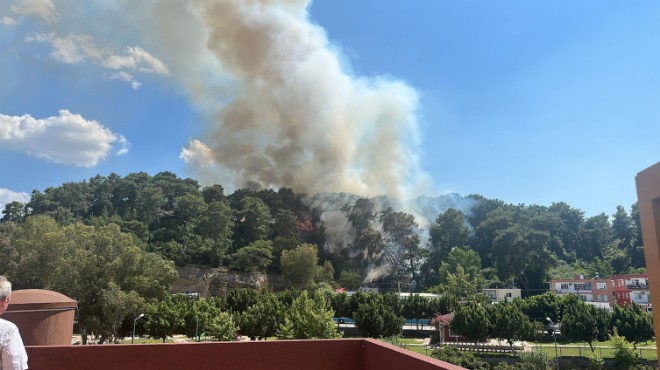 Antalya da orman yangını: Müdahale sürüyor