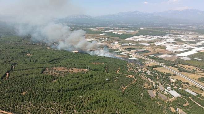 Antalya nın 2 ilçesinde orman yangını