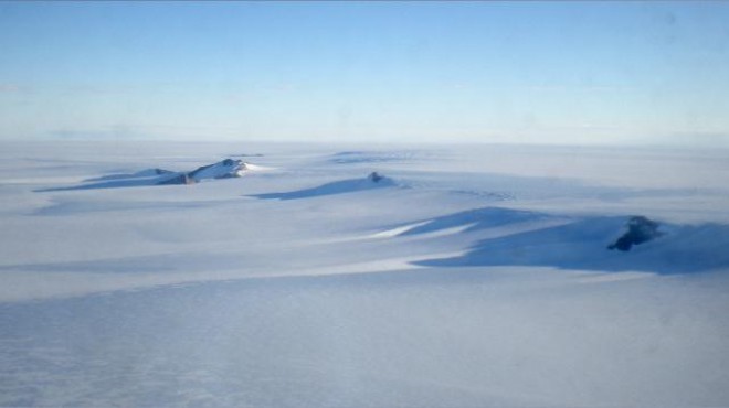 Antarktika da yeni keşif: 77 canlı türü bulundu