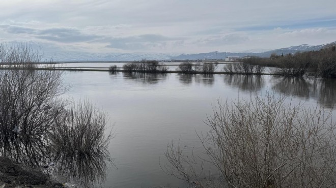 Ardahan da Kura Nehri taştı