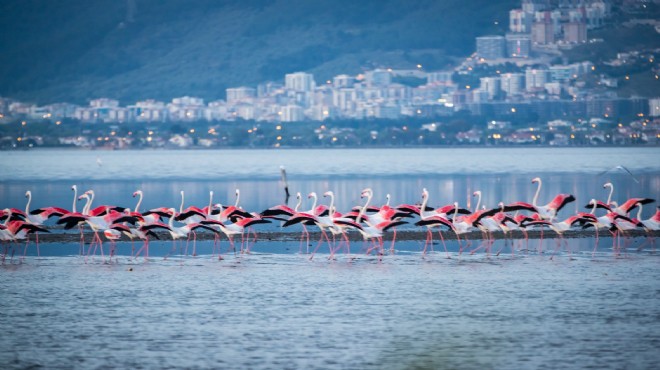 Arıtma lideri İzmir’in denizi de mükemmel!