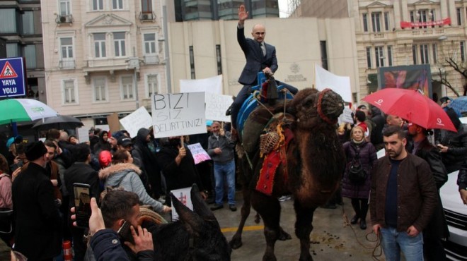 Aşık karşıtlarından deve ve eşekle protesto!