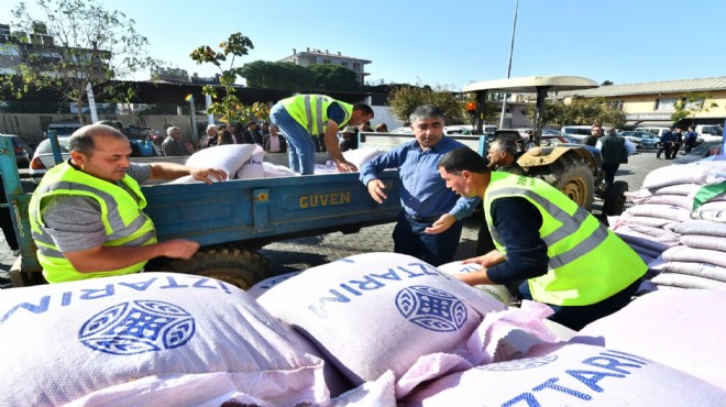 Atalık karakılçık buğdayı büyüyor... Bir avuçla başladı, 11 bin dönüme çıkıyor!