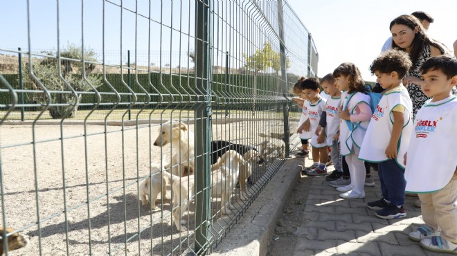 Aydın da minikler can dostları ziyaret etti