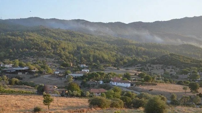 Aydın da orman yangını: Bir mahalle tahliye edildi!