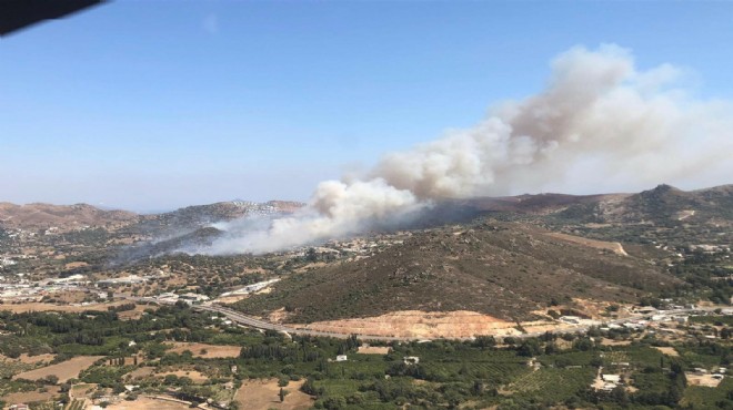 Aydın da orman yangınına müdahale ediliyor