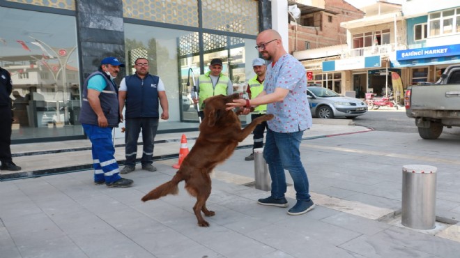 Aydın da sokak hayvanları için eğitim