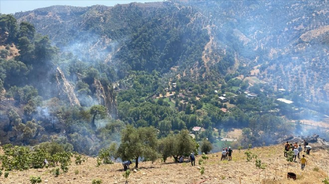 Aydın da yangın: 150 dönüm zarar gördü!