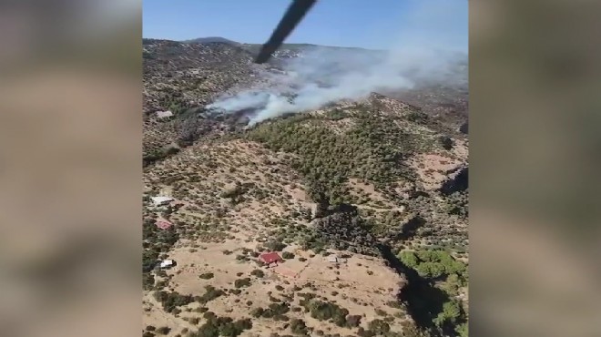 Aydın da zeytinlik alanda çıkan yangın kontrol altına alındı