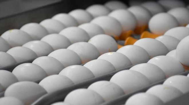 Bakanlıktan yumurta fiyatındaki artışa inceleme