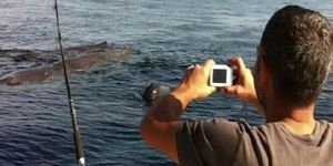 İzmir de garip olaylar: Denizde balina, gökten 10 kilo buz!