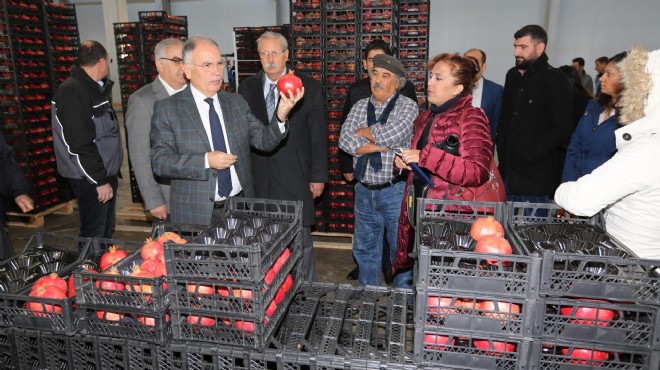 Başkan Bakıcı: Selçuk tarımını geliştireceğiz