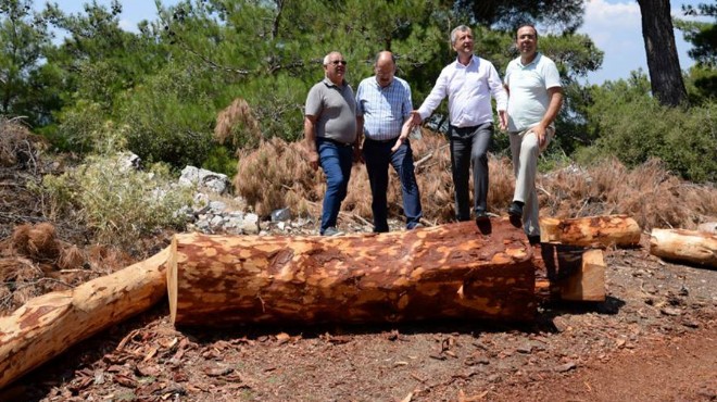 Başkan Şahin’den sert sözler: Birileri para kazanacak diye...