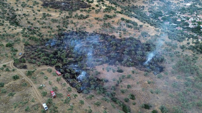 Bayındır da zeytinlik alanda çıkan yangın söndürüldü