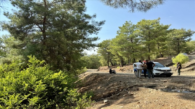 Bebek ormanlık alanda terk edilmişti: 2 gözaltı!