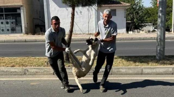 Belediyenin paylaşımı tepki çekti