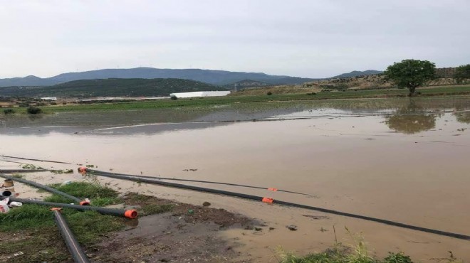 Bergama nın hasar raporu... Dönümlerce alanı dolu vurdu!