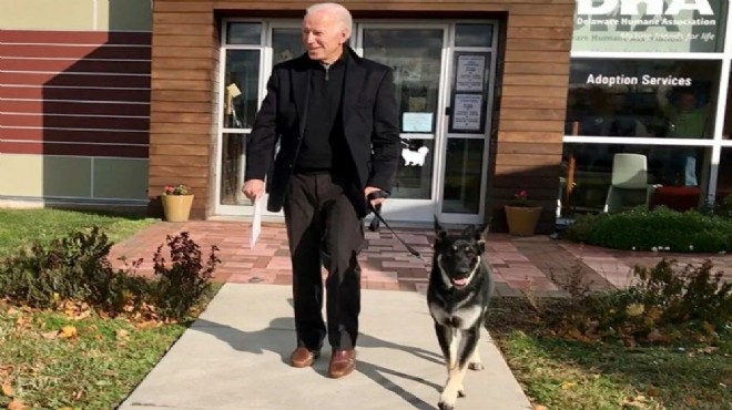 Beyaz Saray da Biden ın köpekleri krize neden oldu