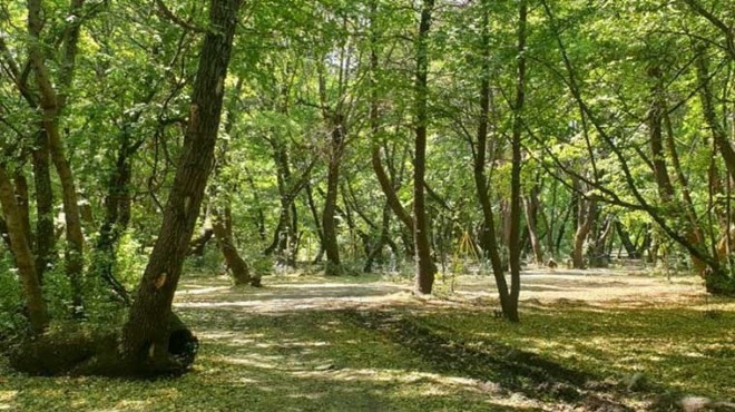 Bir ilde daha ormanlara girişler yasaklandı