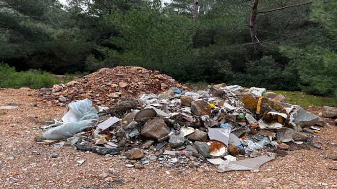 Bodrum da çevre katillerine ceza