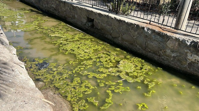 Bodrum da iki derede kirlilik